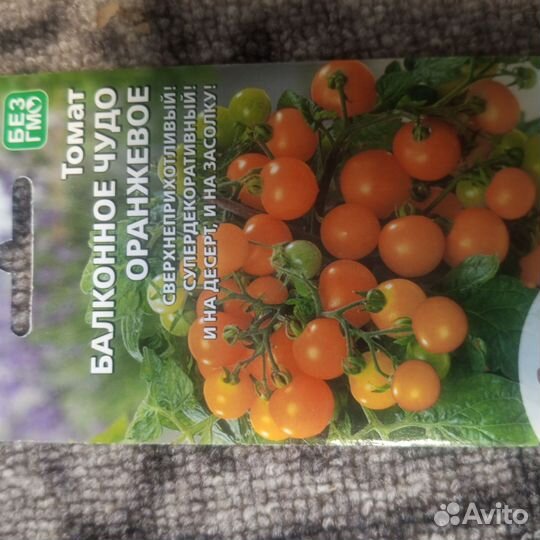 Рассада балконных помидор