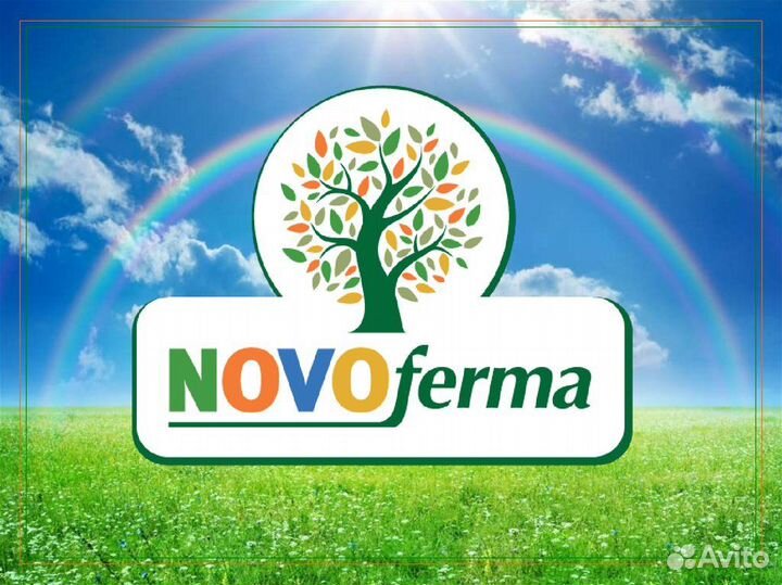 Сотрудник на производство Куриных полуфабрикатов