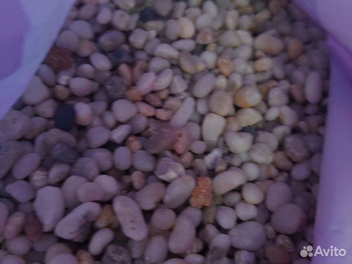 Грунт для рептилий