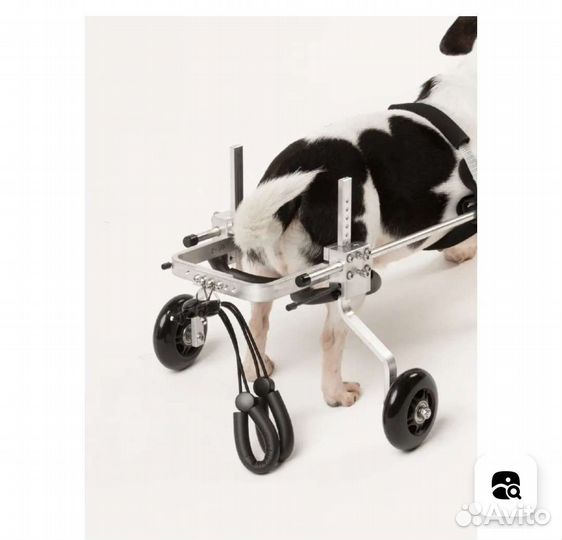 Инвалидная коляска для кошек и собак