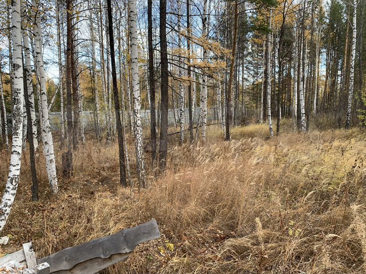 Участок 10 сот. (СНТ, ДНП)