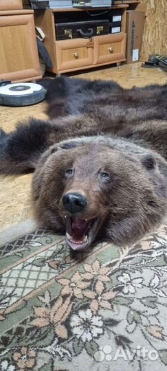 Имитация шкуры медведя