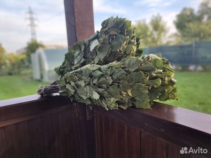 Березовые веники