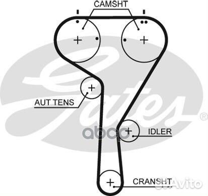 Ремень грм 163x20 5680XS (8597-15680) 5680XS Gates