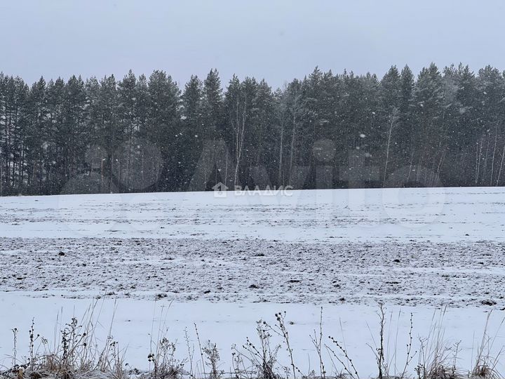 Участок 4,17 га (СНТ, ДНП)