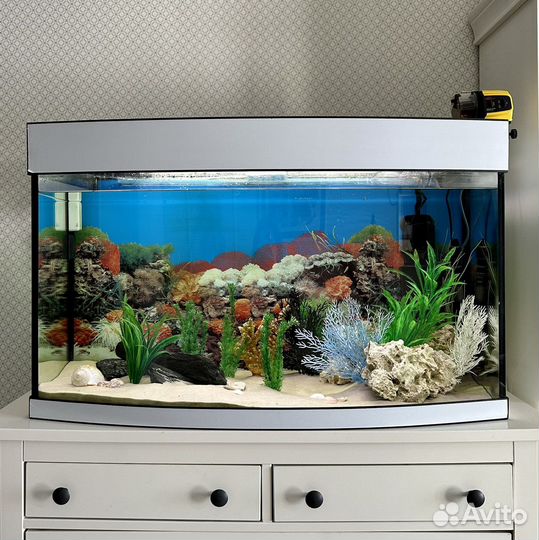 Аквариум 200 литров