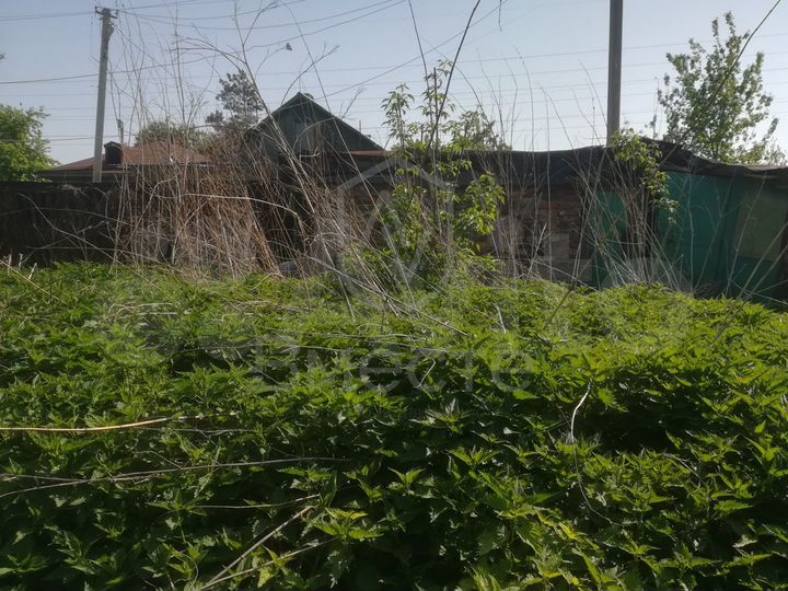 Участок 6,3 сот. (ИЖС)