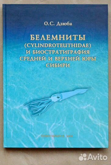 Дзюба. Белемниты (Cylindroteuthidae)