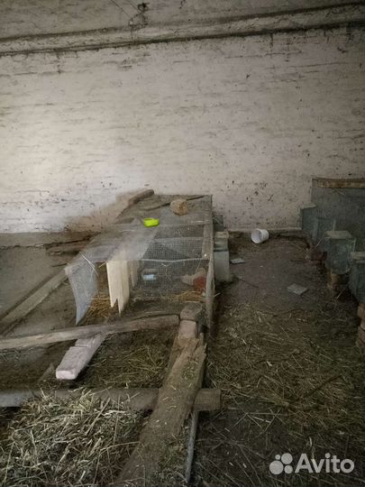 Клетки для кроликов