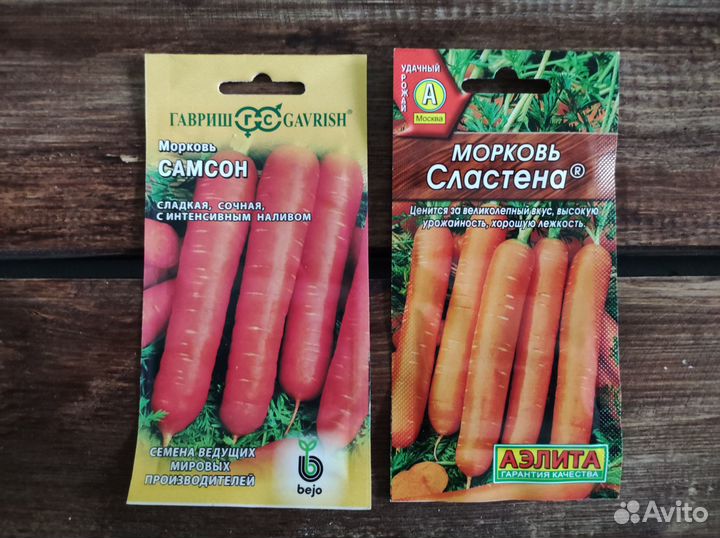 Семена Моркови