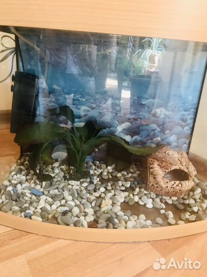 Аквариум