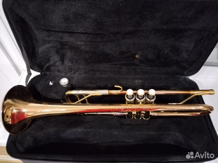 Труба Michael 450tr