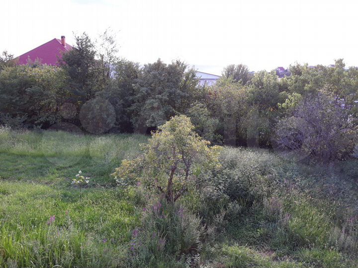 Участок 12 сот. (ИЖС)