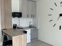 Квартира-студия, 33 м², 1/10 эт.