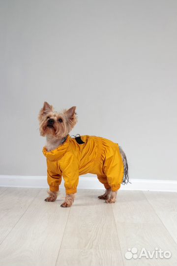 Одежда для собак дождевик