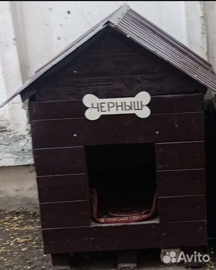 Собака в добрые руки отдам бесплатно