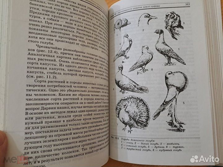 Учебник Общая Биология Захаров Мамонтов Сонин 10