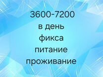 Упаковщики в Казань питание проживание бесплатно