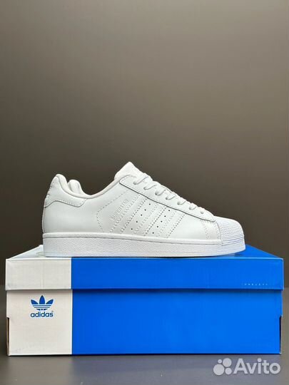 Adidas superstar