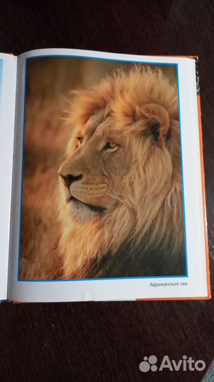 Книги серии 