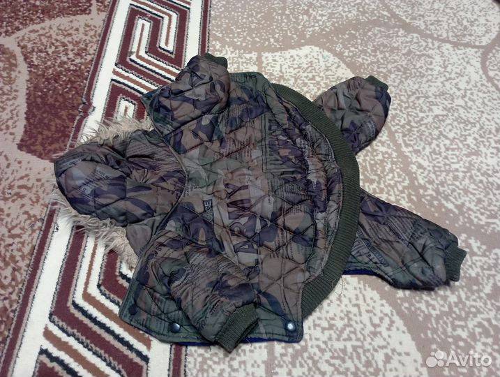 Одежда для маленьких пород собак