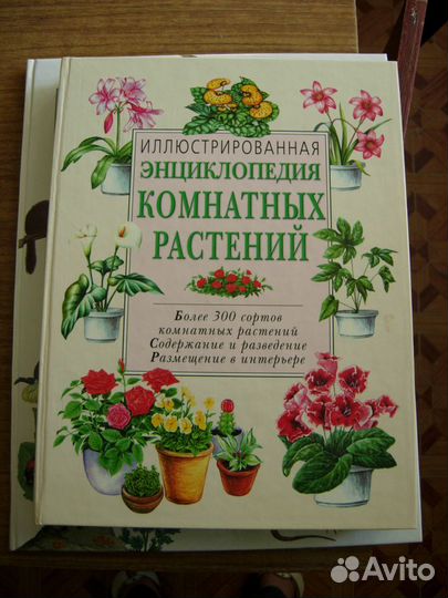 Иллюстрированная энциклопедия комнатных растений