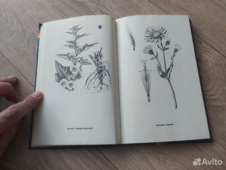 Растения и косметика