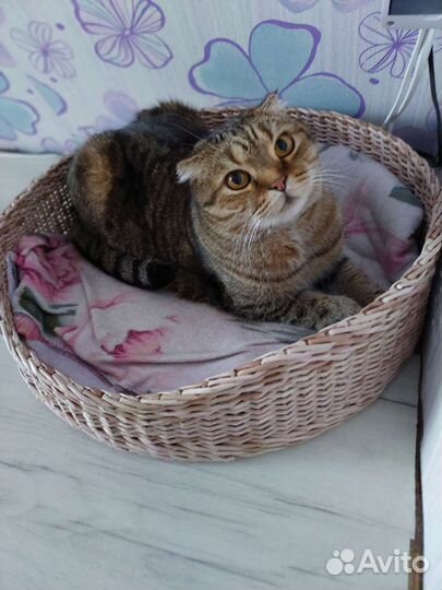 Лежанка для животных