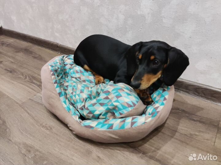 Лежанка для собаки