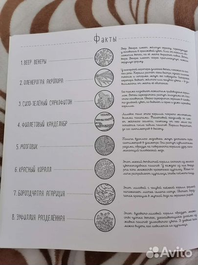 Постеры-раскраски Создания большие и маленькие