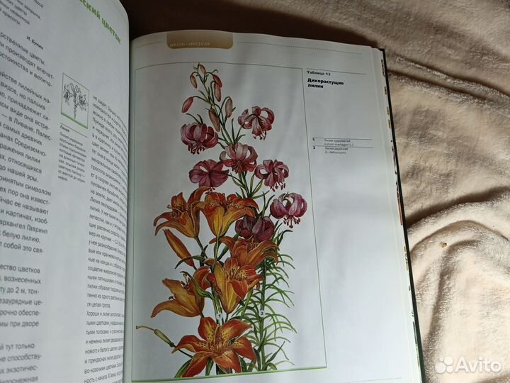 Книга Как украсить сад