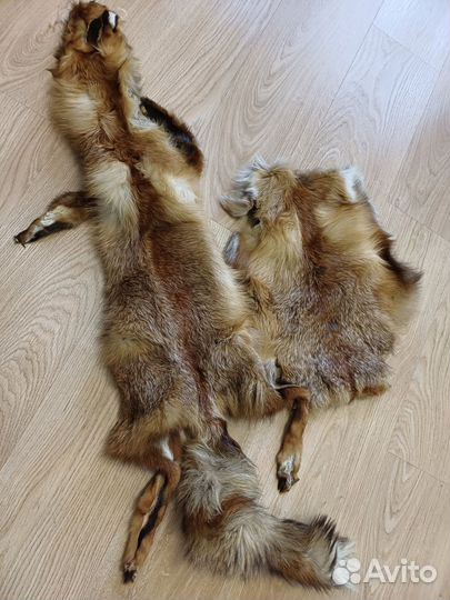 Шкуры лисы