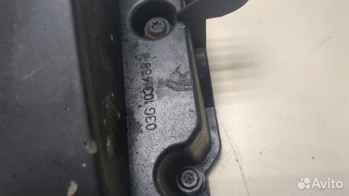 Крышка клапанная двс Audi A3 (8P), 2006