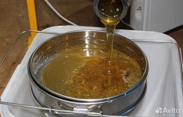 Мед натуральный с Алтая оптом от 16 кг