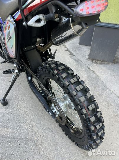 XGZ 300 (175fmm)