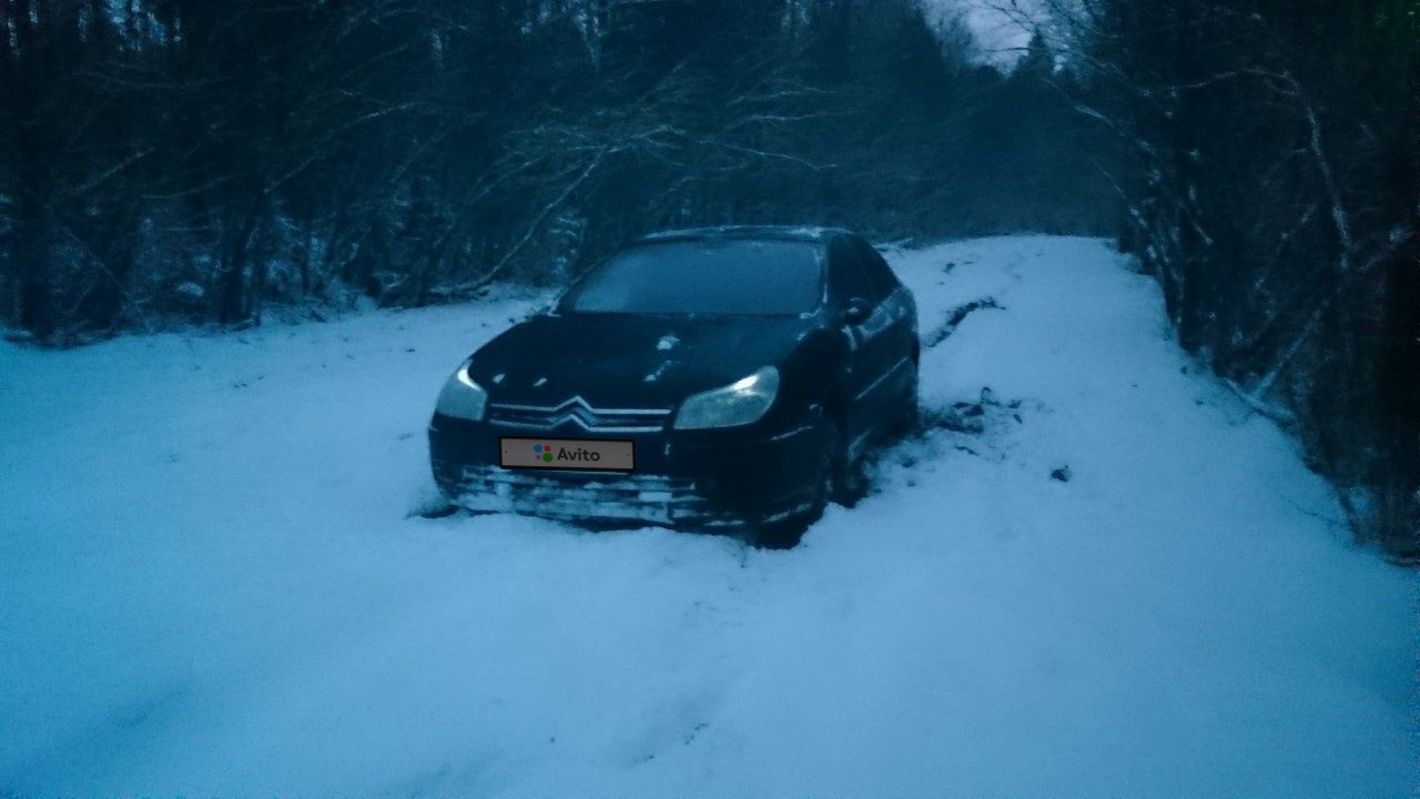 Citroen C5: фото владельца