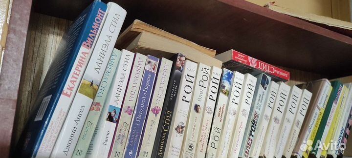 Книги Даниэла Стил, Вильмонт, Рой