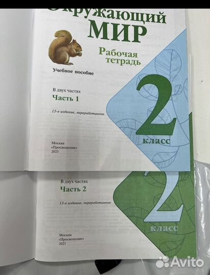 Рабочая тетрадь 2 класс по Окружающему миру