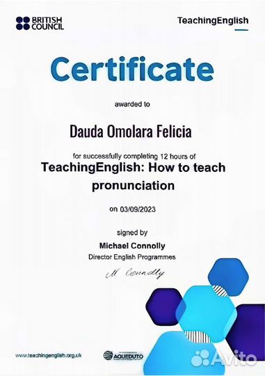 Репетитор по Английскому языку носитель (онлайн)