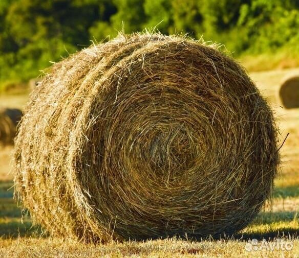 Сено в рулонах