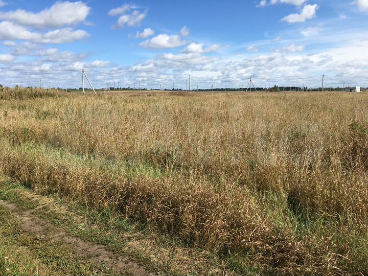 Участок 10 сот. (ИЖС)