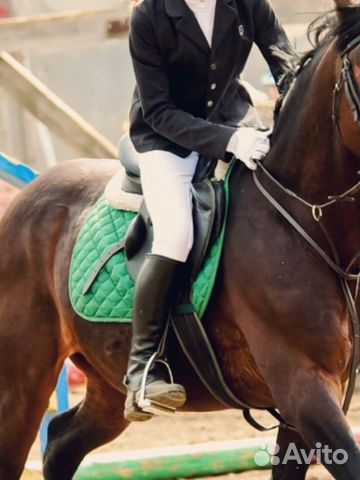 Бриджи для верховой езды белые купить в Подольске | Личные вещи | Авито