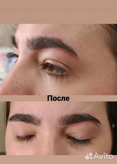 Мастер бровист