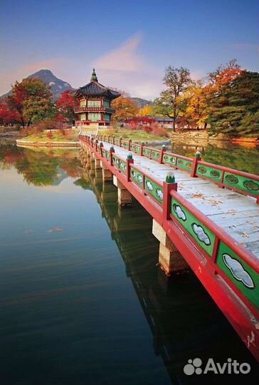 Учитель/Репетитор корейского языка