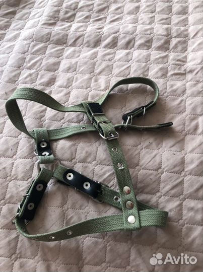 Шлейка для собаки