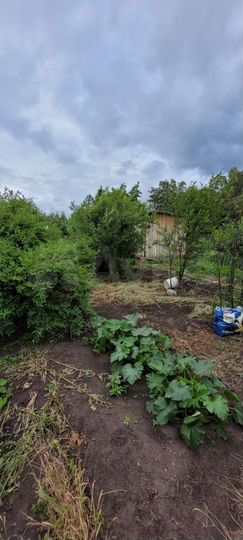 Дача 20 м² на участке 6,3 сот.