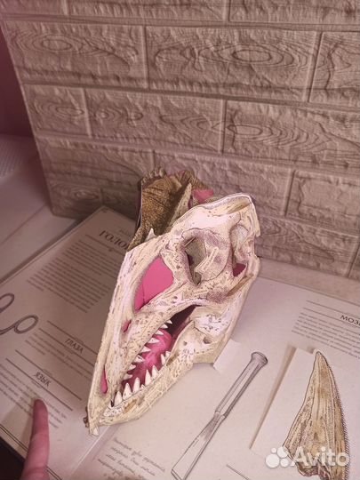 Тираннозавр Рекс