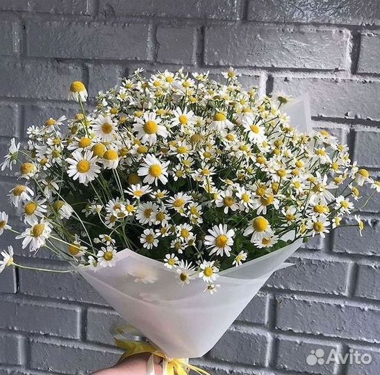 Ромашки Букет из ромашек доставка