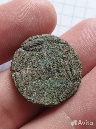 Сестерций Боспорского царства