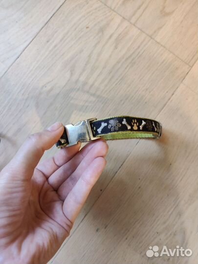 Ошейник для собак и поводок